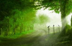 主要的查询方法有三种：网上营业厅查询、热线电话查询、营业厅网点现场查询