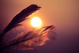 绝命属于凶星磁场。是不是手机号码中有绝命磁场，就一定要破财呢？答案是：不一定。凶星未必凶，所以依然要看组合，然后综合判断。