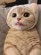 近日,高新区杨某在58同城看到一则卖手机“靓号”的信息,一个尾数为“7777”的号码吸引了他的注意,杨某立即联系对方购买,不料手机号没买成,却被骗走2300元定金